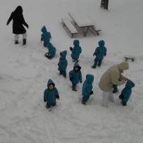 II. oddělení 2012-2013