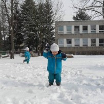 II. oddělení 2012-2013