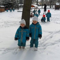 II. oddělení 2012-2013
