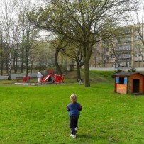 II. oddělení 2012-2013