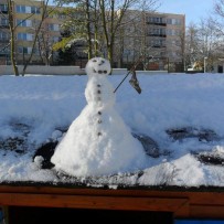 II. oddělení 2012-2013