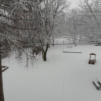 III. oddělení 2012-2013