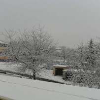 III. oddělení 2012-2013