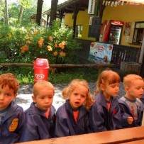III. oddělení 2012-2013