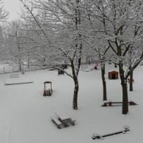 III. oddělení 2012-2013