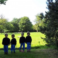 III. oddělení 2014 červen