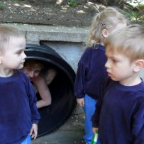III. oddělení 2014 červen