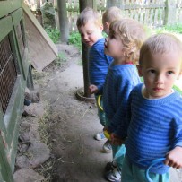 II. oddělení 2014 červen