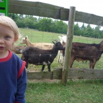 2.oddělení- VÝLET MINI FARMA DLOUHÁ LOUKA