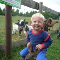 2.oddělení- VÝLET MINI FARMA DLOUHÁ LOUKA