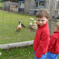 3.oddělení VÝLET MINI FARMA DLOUHÁ LOUKA