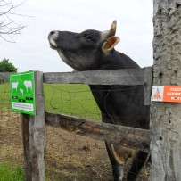 3.oddělení VÝLET MINI FARMA DLOUHÁ LOUKA