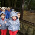 3.oddělení-ZOOPARK CHOMUTOV