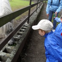 3.oddělení-ZOOPARK CHOMUTOV