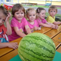 2.oddělení -SRPEN II