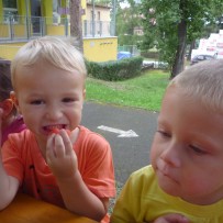 2.oddělení -SRPEN II