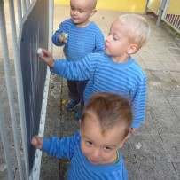 2.oddělení - ZÁŘÍ