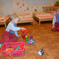3.oddělení - LISTOPAD