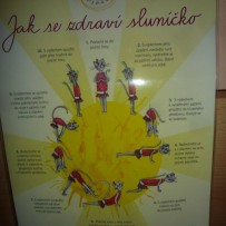 2.oddělení - JÓGA - duben