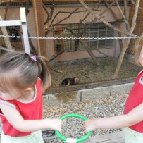 3. odd. ZOO Gymnázium