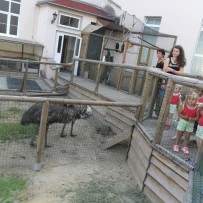 3. odd. ZOO Gymnázium