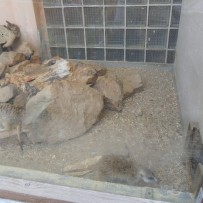 3. odd. ZOO Gymnázium