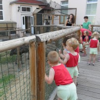 3. odd. ZOO Gymnázium