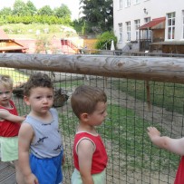 3. odd. ZOO Gymnázium