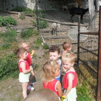 3. odd. ZOO Gymnázium