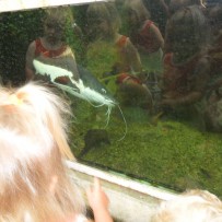 3. odd. ZOO Gymnázium