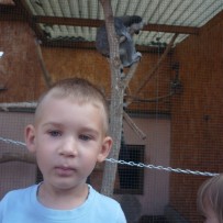2.odd. ZOO GYMNÁZIUM