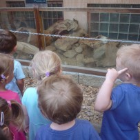 2.odd. ZOO GYMNÁZIUM