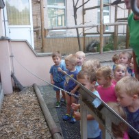 2.odd. ZOO GYMNÁZIUM