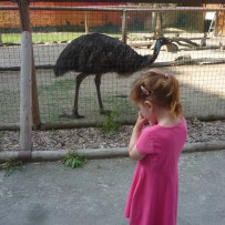 2.odd. ZOO GYMNÁZIUM