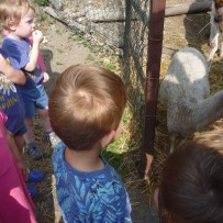 2.odd. ZOO GYMNÁZIUM