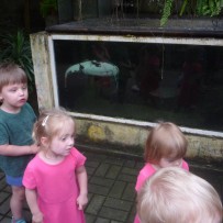 2.odd. ZOO GYMNÁZIUM