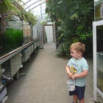 2.odd. ZOO GYMNÁZIUM