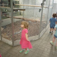 2.odd. ZOO GYMNÁZIUM