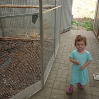 2.odd. ZOO GYMNÁZIUM