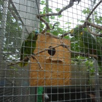 2.odd. ZOO GYMNÁZIUM