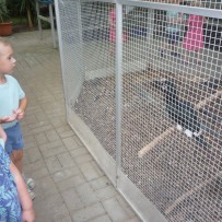 2.odd. ZOO GYMNÁZIUM