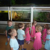 2.odd. ZOO GYMNÁZIUM