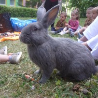 2.oddělení  MINI FARMA