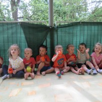 1.odd. květen-červen