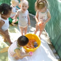 1.odd. květen-červen