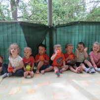 1.odd. květen-červen