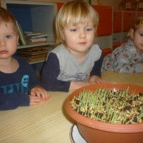 2. oddělení - velikonoce 2023