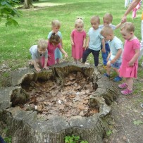 2. oddělení   1.6. v Zámecké zahradě