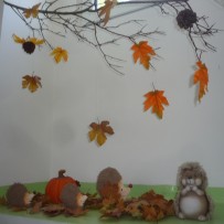 2. oddělení  ŘÍJEN 2023