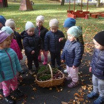 2. oddělení  ŘÍJEN 2023